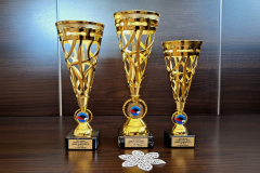 2026-PZDU-pokali
